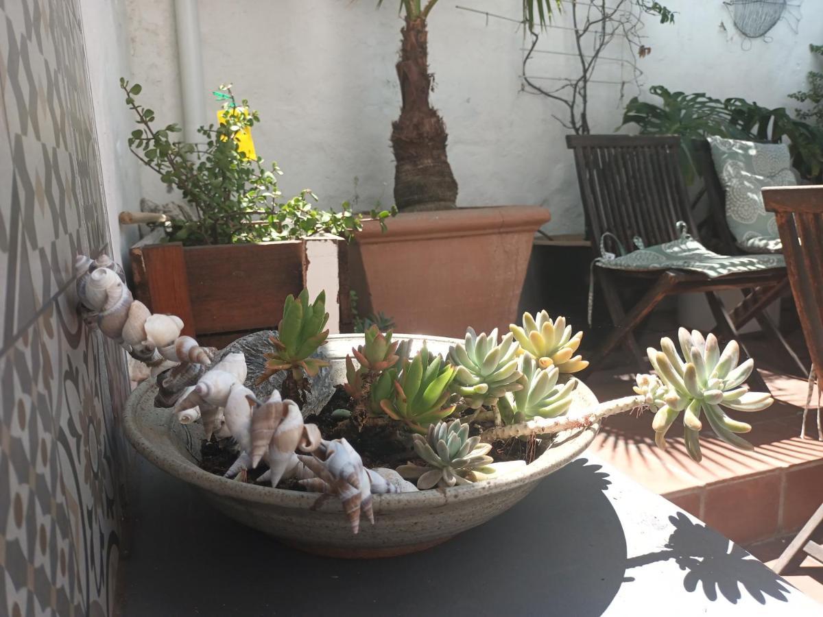 House On The Hill Hostel Cape Town Exterior foto